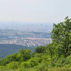 Aydos Forest (Aydos Ormanı) - Pendik