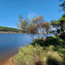 Aydos Forest (Aydos Ormanı) - Pendik