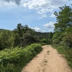 Aydos Forest (Aydos Ormanı) - Pendik