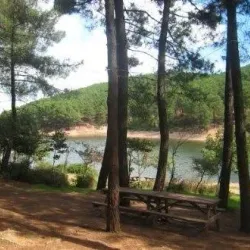 Aydos Forest (Aydos Ormanı) - Pendik