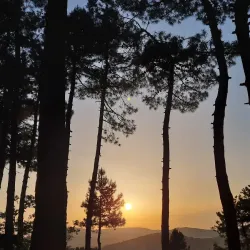 Aydos Forest (Aydos Ormanı) - Pendik