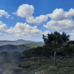 Aydos Forest (Aydos Ormanı) - Pendik