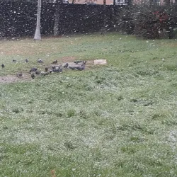 Kaynarca Park - Pendik