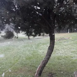 Kaynarca Park - Pendik