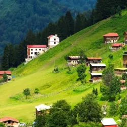 Ayder Plateau - Rize