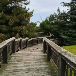 Amisos Hill - Samsun