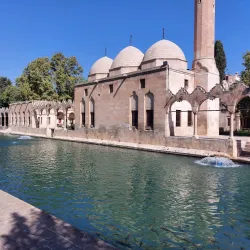 Balıklıgöl (Pool of Sacred Fish) - Sanliurfa