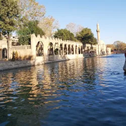 Eyyubiye District - Sanliurfa