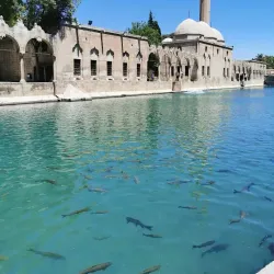 Eyyubiye District - Sanliurfa