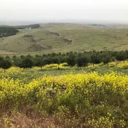 Göbekli Tepe - Sanliurfa