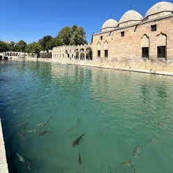 Halil-ur Rahman Lake - Sanliurfa