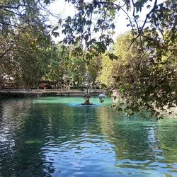 Halil-ur Rahman Lake - Sanliurfa