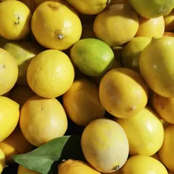 Urfa Bazaar - Sanliurfa