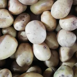 Urfa Bazaar - Sanliurfa