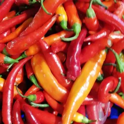 Urfa Bazaar - Sanliurfa