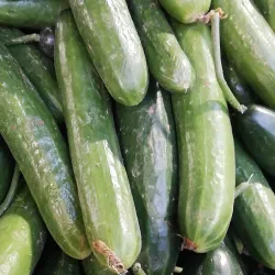 Urfa Bazaar - Sanliurfa