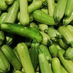 Urfa Bazaar - Sanliurfa