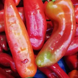 Urfa Bazaar - Sanliurfa