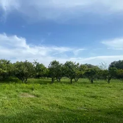 Teos Ancient City - Seferihisar