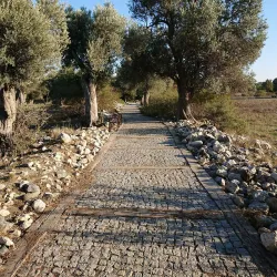 Teos Ancient Theater - Seferihisar