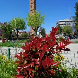 Siirt Castle - Siirt