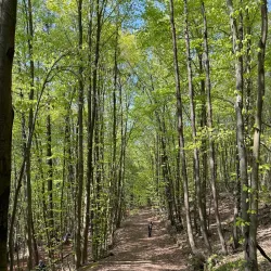 Kumköy Nature Park - Silivri