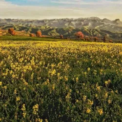 Cudi Mountain - Sirnak