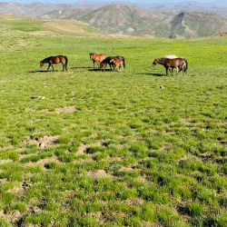 Uludere Village - Sirnak