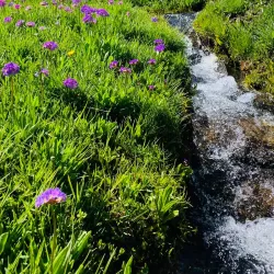 Uludere Village - Sirnak