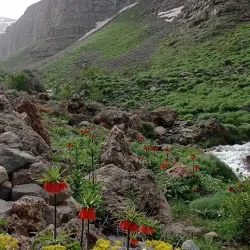 Uludere Village - Sirnak