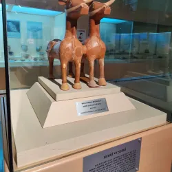 Sivas Museum - Sivas