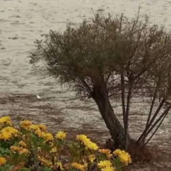 Marmara Ereğlisi - Tekirdag