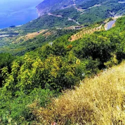 Uçmakdere Village - Tekirdag