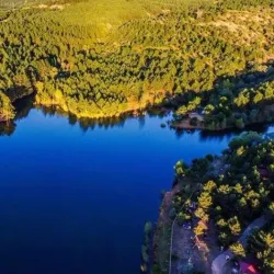 Yozgat Pine Grove National Park - Yozgat