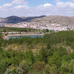Yozgat Pine Grove National Park - Yozgat