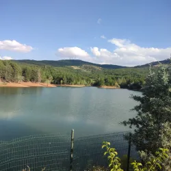 Yozgat Pine Grove National Park - Yozgat