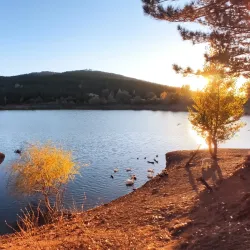 Yozgat Pine Grove National Park - Yozgat