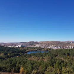 Yozgat Pine Grove National Park - Yozgat