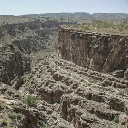 Nature Reserve near Abadan - Abadan