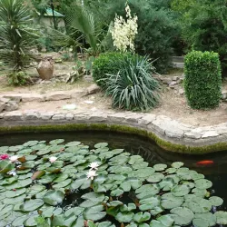 Ashgabat Botanical Garden - Anau