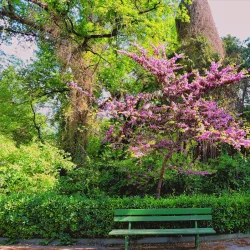 Ashgabat Botanical Garden - Anau