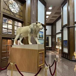 Ashgabat National Museum of History - Anau