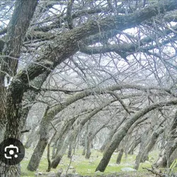 Kopet Dag Mountains - Anau