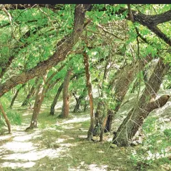 Kopet Dag Mountains - Anau