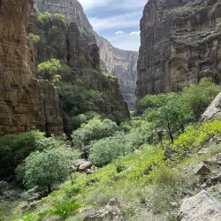 Koytendag Nature Reserve - Anau