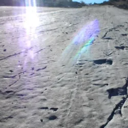 Koytendag Nature Reserve - Anau