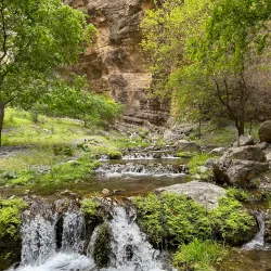 Koytendag Nature Reserve - Anau