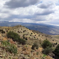 Koytendag Nature Reserve - Anau