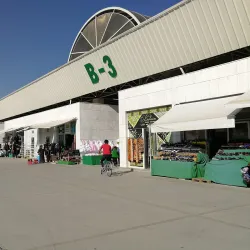 Altyn Asyr Bazaar - Ashgabat