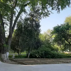 Ashgabat Botanical Garden - Ashgabat